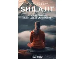 Lebenskraft Shilajit
