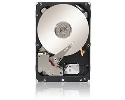 Seagate ST3000NM0023 - Interne harde schijf / 3TB / 3,5 inch SAS