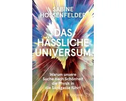 Das hässliche Universum