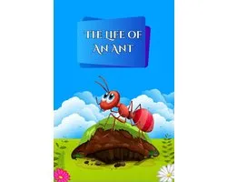 The Life of an Ant
