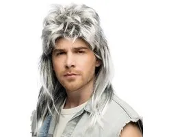 Boland - Pruik Davey Grijs - Laagjes - Lang - Mannen - Rocker - 90's - Old School - Punk - Retro - Aso - Carnaval - Themafeest - Foute Party