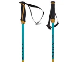 Volkl Phantastick Junior Stokken Blauw 105 cm Kinderen