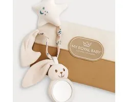 MyRoyalKids® Baby Bag Organizer