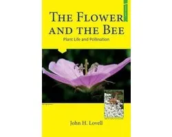 The Flower and The Bee