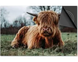Protecteur d'induction 60x52 - plaque de couverture tapis d'induction - Dietrix Hob protector - DELUXE - Scottish Highlander 8 - Allongé dans l'herbe