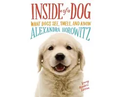 Inside of a Dog
