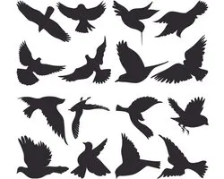 Raamstickers vogels statisch - 16 stuks - Vogelbescherming stickers - Verplaatsbaar - Statische vogelstickers voor raam - Voor vensterglasdeur vogelbescherming - Zwart