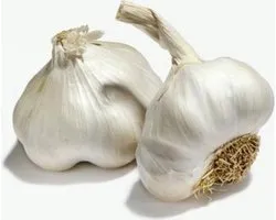 Winter Knoflook Messidrome kaliber 40-50 - 10 stuks plantlook