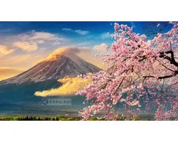 Schilderij - Vulkaan Fuji, Bloesem, Japan , Multikleur , 3 maten , Premium print
