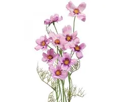 Cosmea sieradenmand paars kunstbloemen zomer 51cm 3st