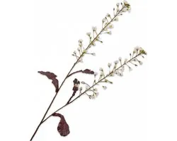 Silk-ka - Kunstbloem - primula - creme - H85 cm
