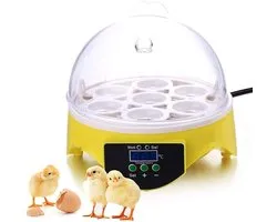 Eieren Broedmachine - Automatische Incubator - Thuis Broeden - Digitale Temperatuurregeling - 7 Eieren Capaciteit - Geel Helder