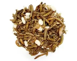 Mélange d'insectes - 2,5 litres - Mélange de poulet - Snack au poulet