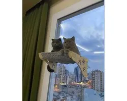 Arnillo - Hamac pour chat - Fenêtre pour hamac pour chat - Lit pour chat - Lit pour chat - Fenêtre pour lit pour chat - Décoration pour chat - Hamac pour chat en bois