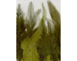 Creative Feathers 8,5-15cm 15pcs forest