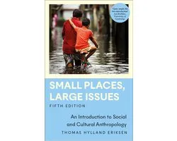 Anthropology, Culture and Society - Small Places, Large Issues