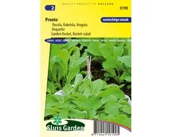 Sluis Garden - Rucola Pronto (Eruca sativa)
