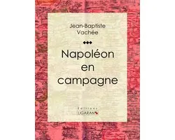 Napoléon en campagne