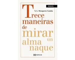 EDICIÓN LITERARIA - POESÍA E-book - Trece maneiras de mirar un almanaque