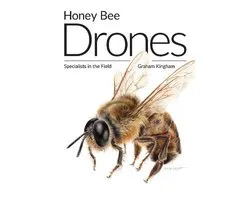 Honey Bee Drones