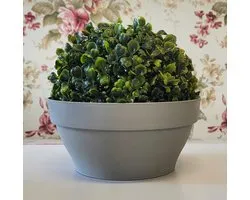 Grafiten Plantenbak Lawenda 25cm met Rand - Duurzaam Kunststof