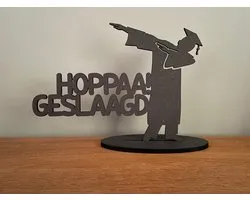 Geslaagd - Geslaagd versiering - Geslaagd cadeaus - Afstudeerhoed - Graduation - Geslaagd cadeau diploma - Geslaagd cadeau eindexamen - Geslaagd versiering diploma - Geslaagd kadootje