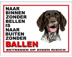 Gammel Dansk Hønsehund 11