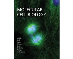 Molecular Cell Biology