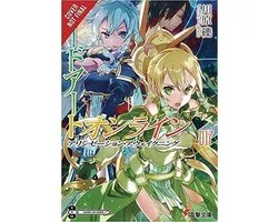 Sword Art Online, Vol. 17 (light novel)