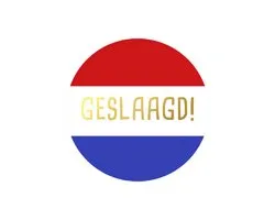 Sluitsticker - Sluitzegel – Hoera Geslaagd Rond | Diploma - School | Kaart - Envelop - Stickers | Cadeau - Gift - Cadeauzakje - Traktatie | Leuk inpakken - Jongens – Meisjes - Leerlingen | DH collection