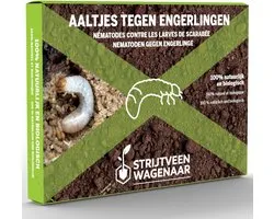 Aaltjes Tegen Engerlingen 100m² - Biologische Bestrijding – Droog Gazon - Afweermiddelen - Meikever - Rozenkever