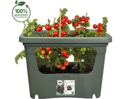Elho Green Basics Stack & Grow 50 - Stapelbare Kweekbak - Verticaal Tuinieren - 100% Gerecycled Plastic - Ø 50.9 x H 35.7 cm - Blad groen