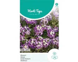 Hortitops Zaden - Alyssum (Lobularia) Mar. Procumbens Royal Carpet