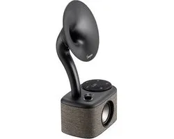 Sangean Hifi CP100DGB