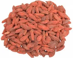 De Kruidenbaron - Goji bessen gedroogd - strooibus 250 gram