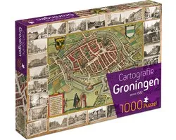 Cartografie Groningen (1000) - Tucker's Fun Factory Legpuzzel