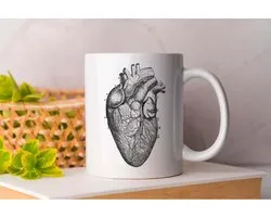 Mok Heart - Anatomy - Gift - Cadeau - HumanBody - BodySystems - BodySystems - Anatomie - MenselijkLichaam - Lichaamssystemen - MedischeAnatomie