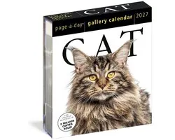 Cat Page-A-Day® Gallery Calendar 2027