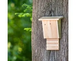 CJ Wildlife Vleermuiskast Bouwpakket - Igor - Vleermuizenkast van FSC-gecertificeerd Hout