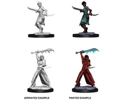 Wizkids: Dungeons and Dragons - Nolzur's Marvelous Miniatures - Human Female Rogue