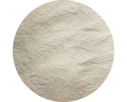 Van Beekum Specerijen - Gomme Xanthane (E415) - 20 KG - Sac