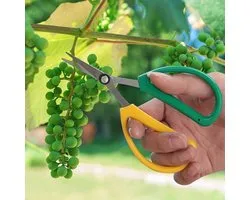 Stainless steel breeding scissors pruning shears for flowers, loppers, hand scissors, and bonsai