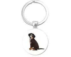 Akyol - berner sennenhond Sleutelhanger - Honden - de echte honden liefhebber - Hond sleutelhanger - Sleutelhanger hond - Dieren - Huisdier cadeau - Honden - Dogs keychain - Hondenaccessoires - Hondenspeelgoed - 2,5 x 2,5 CM
