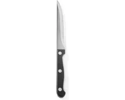 HENDI Steakmessen – Profi Line – Roestvast staal – ABS greep – 215 mm – Set van 6