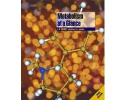 Metabolism at a Glance