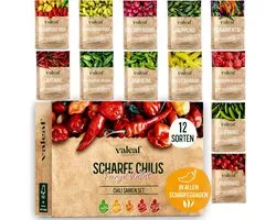 Kit de Graines de Piments - Piments Forts - Culture Maison - 12 Niveaux de Piquant - 10 x 5 x 2 cm