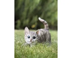 poes spelend sluip grijs 16 cm hoog ess - decoratief beeld - kat - kitten - dierenbeeld - voor buiten - cadeau - geschenk - verjaardag - voor hem - voor haar - Vaderdag - Moederdag - Valentijn - Pasen