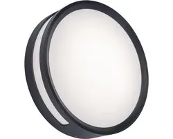 LUTEC Rola - Wand en plafondlamp - Donkergrijs