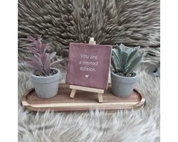 Tuile de souhait robuste avec texte - Vieux rose - beige - Tu es une édition limitée - amour - amitié - Famille - cadeau - anniversaire - juste comme ça - cadeau personnalisé - tuile tendance branchée - décoration - sympa