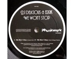 Dj Delicious & Errik - We Won't Stop